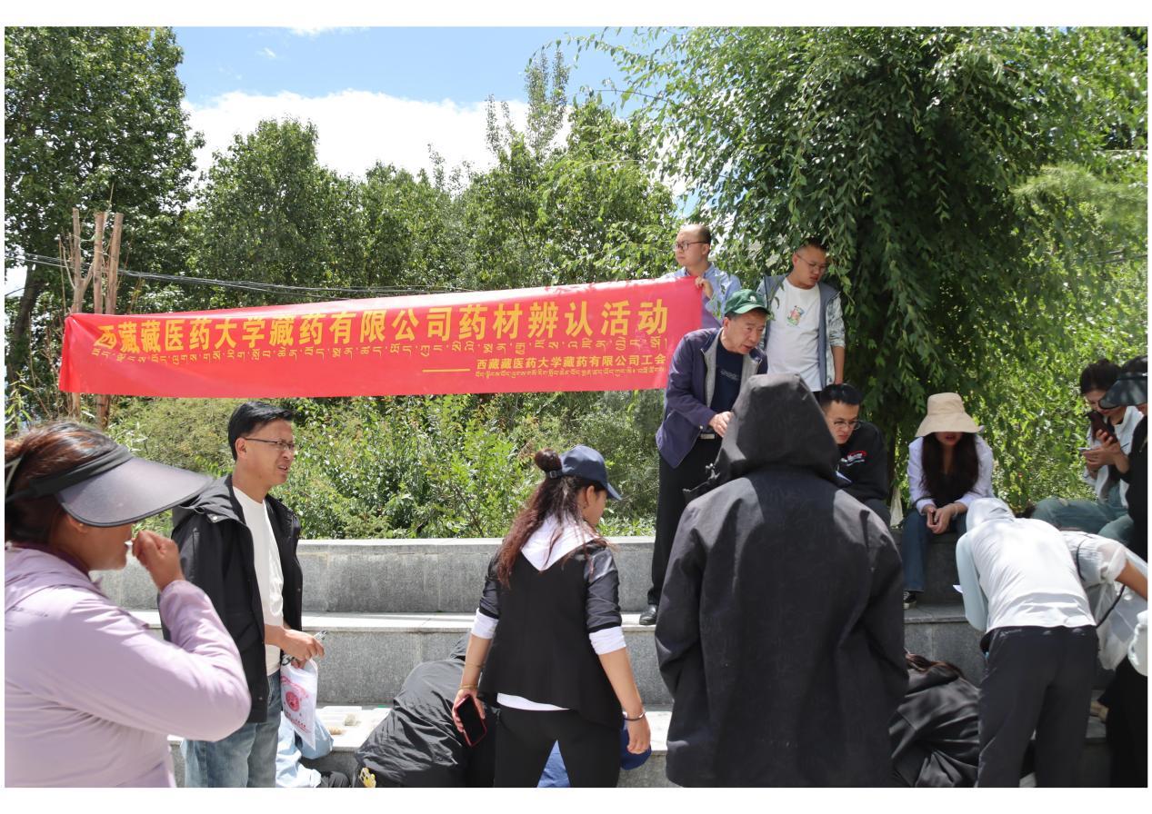 66ced15c3cced.png 認(rèn)藥大賽.png